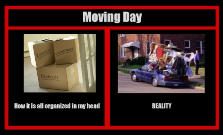 moving day reality 1-29-2014